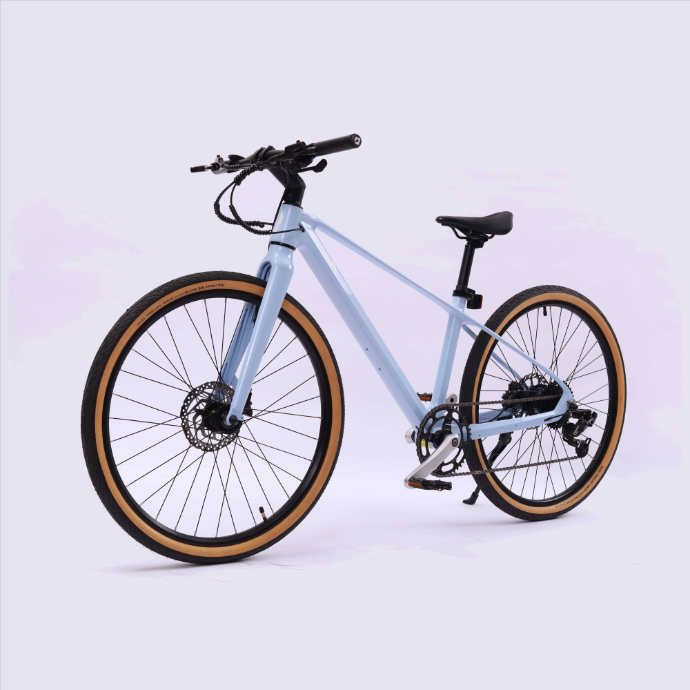 Confovelo™ Vélo Électrique Adulte Moteur Moyeu Sans Balais